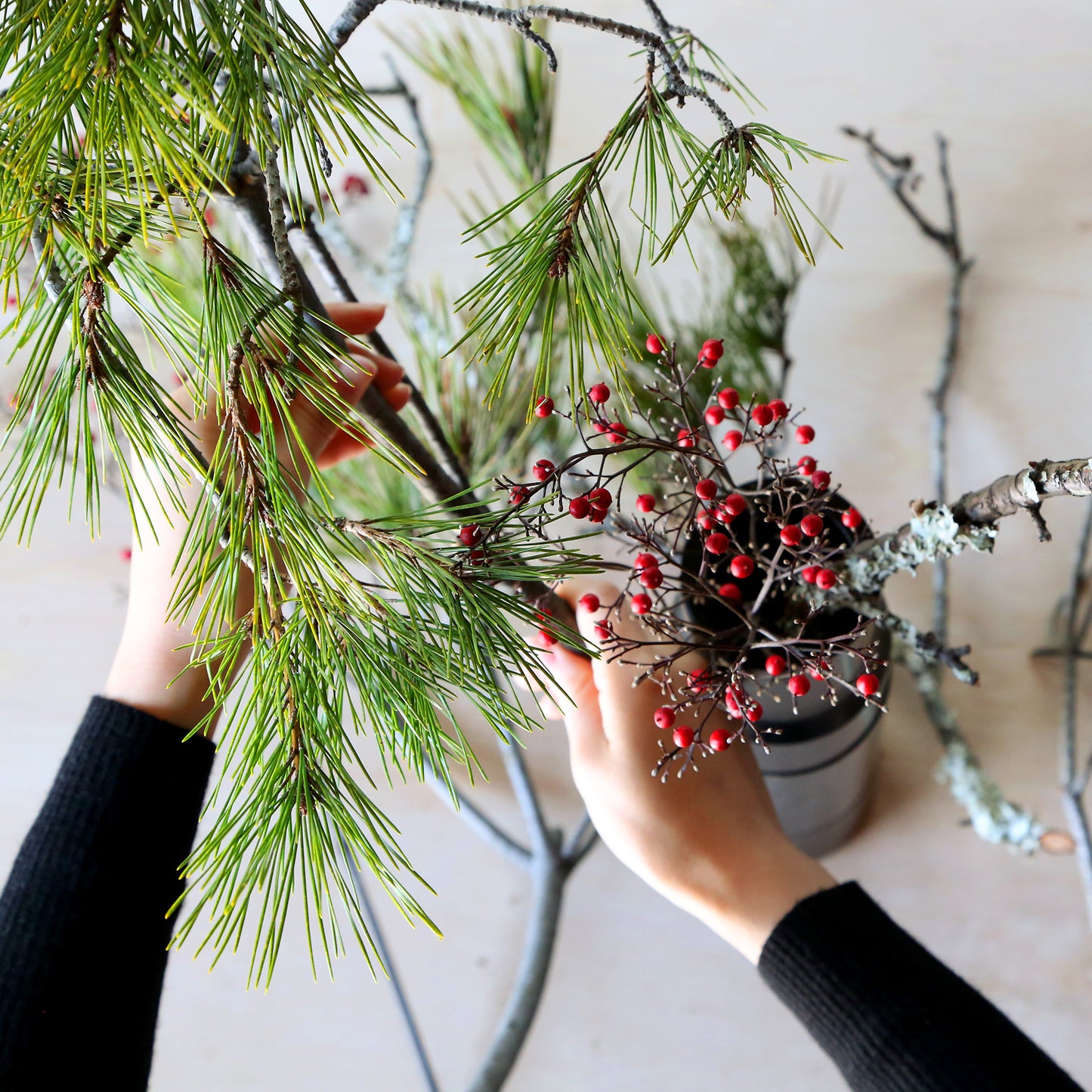 【定期便】アカデミックプラン