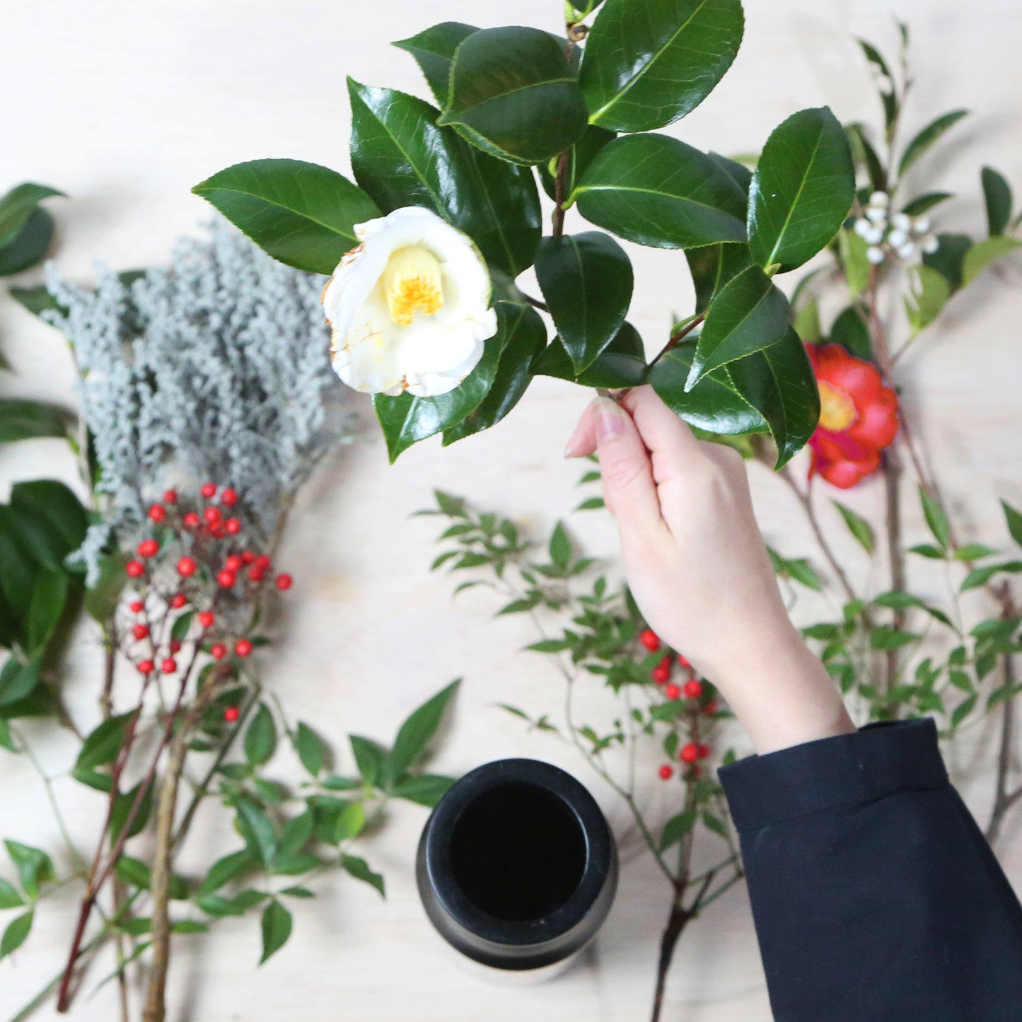 【定期便】アカデミックプラン