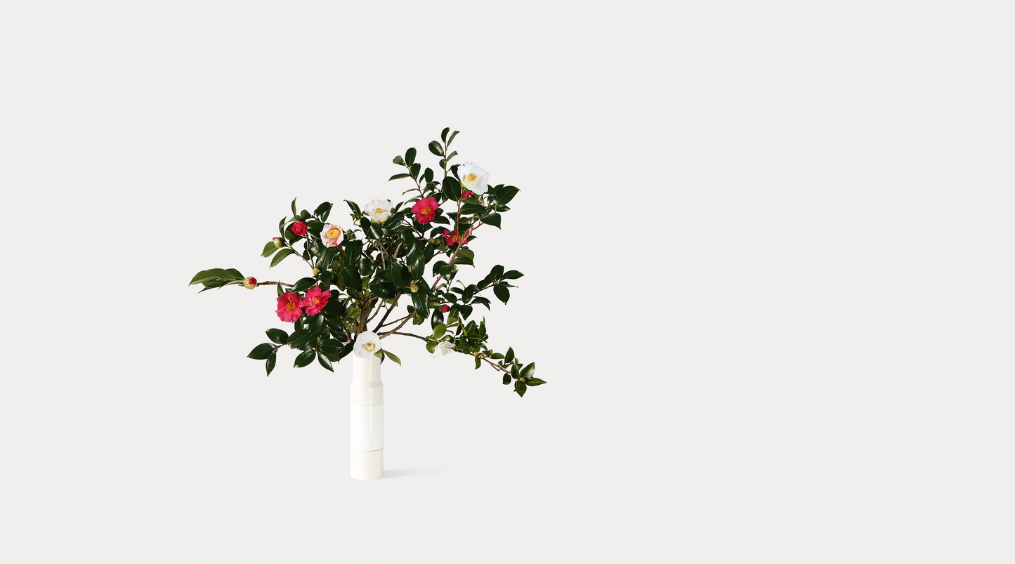 【定期便】アカデミックプラン