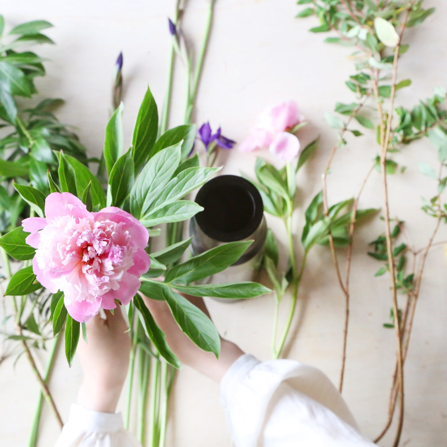 【定期便】アカデミックプラン