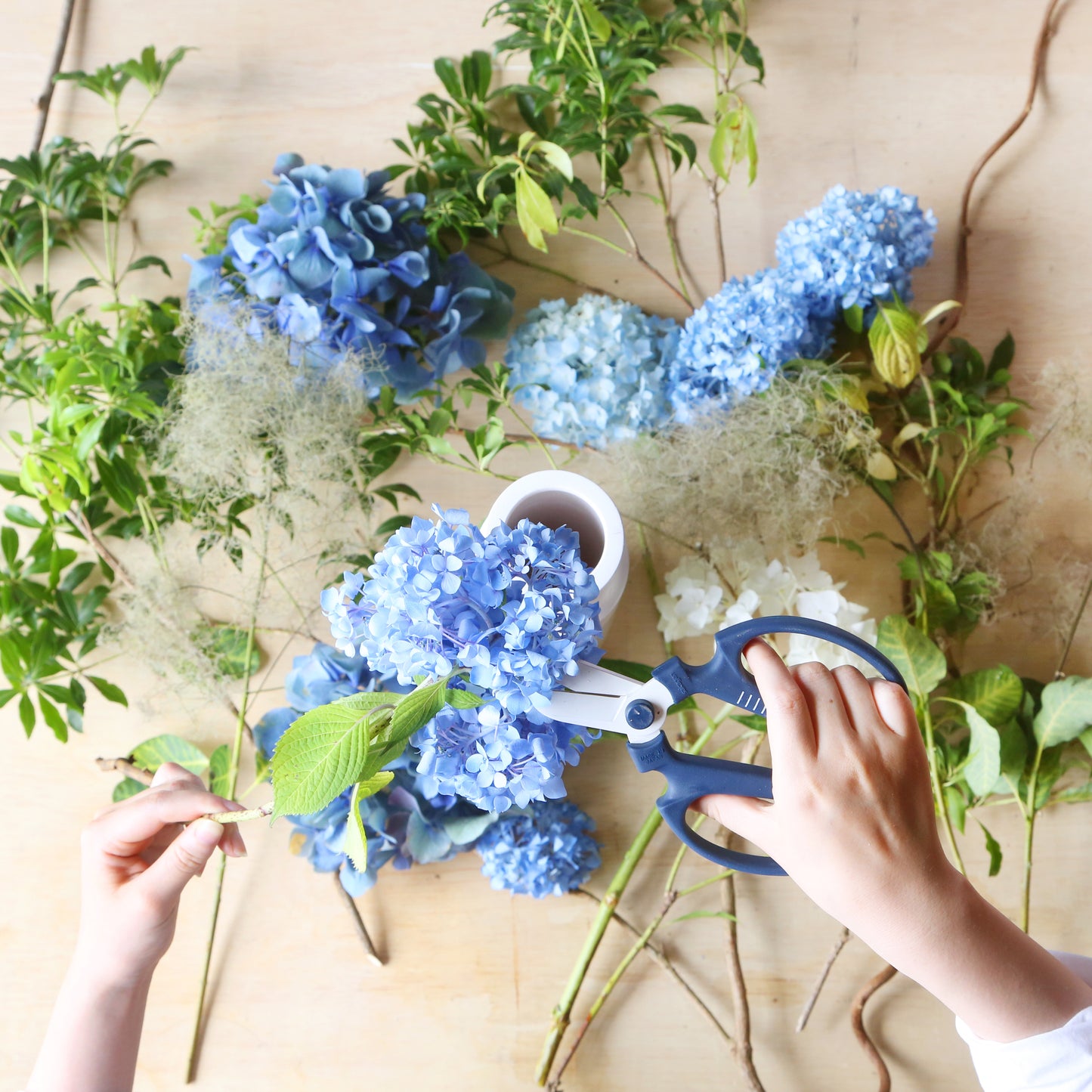 【定期便】アカデミックプラン