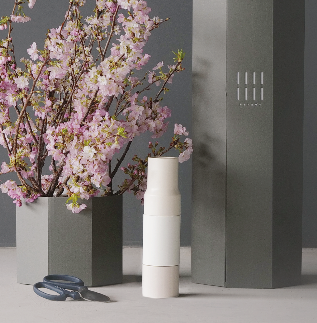 【定期便】アカデミックプラン